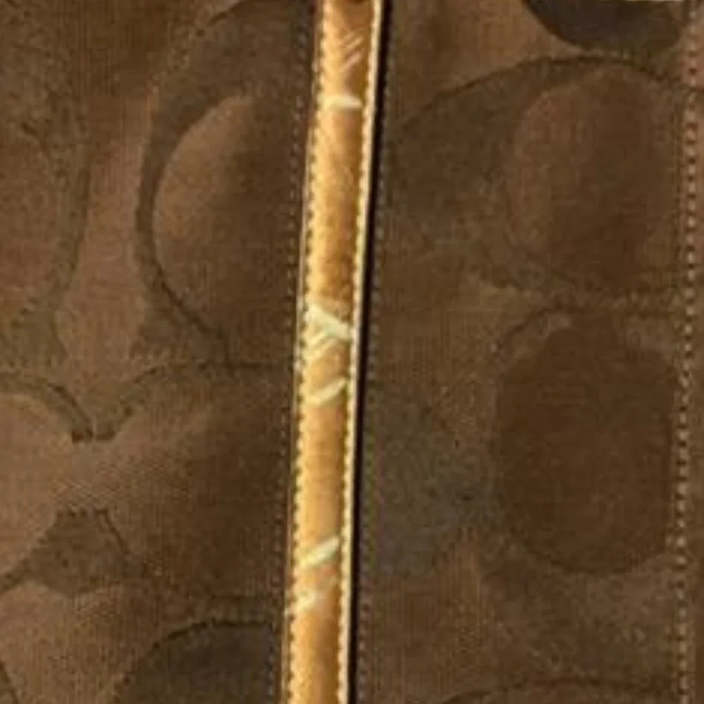 Coach tote bag in brown signature canvas